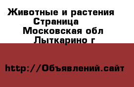  Животные и растения - Страница 24 . Московская обл.,Лыткарино г.